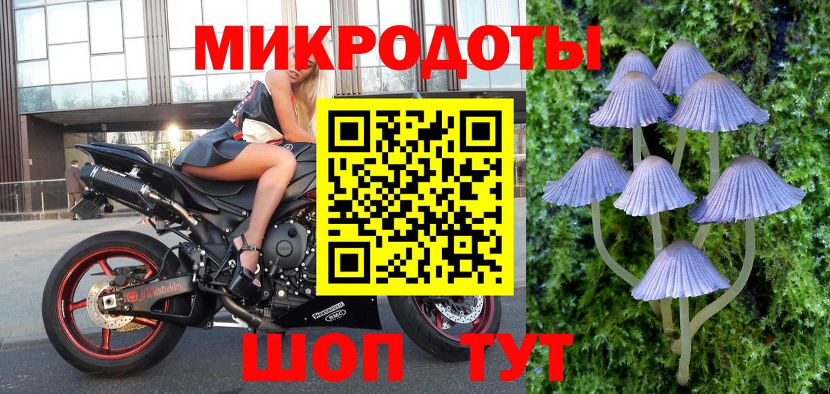 Галлюциногенные грибы прущие грибы Россия