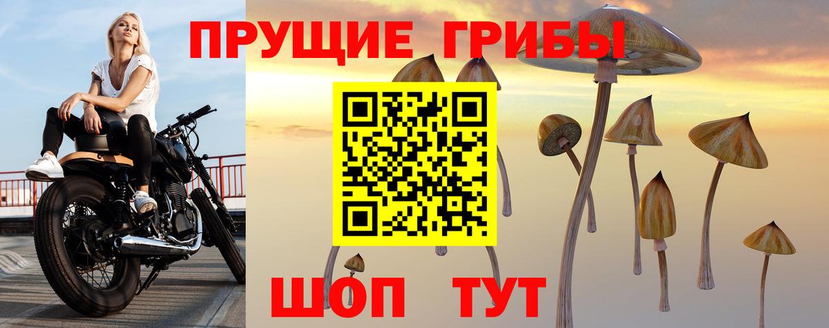 Россия  Галлюциногенные грибы ЛСД  Вход с VPN 